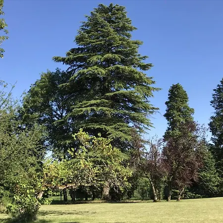 Prázdninový dům Chadalou